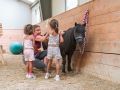 domus agrotourisme social activite poney la tzoumaz  raphael fiorina 